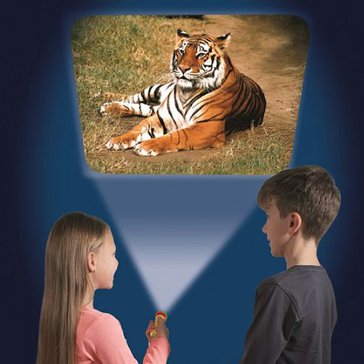 Foto-projektor  "Zvířata" a  kapesní svítilna