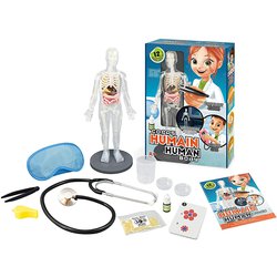 poznani-lidskeho-tela- experimetalni-model-s-organy-J22363_1.jpg