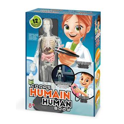 poznani-lidskeho-tela- experimetalni-model-s-organy-J22363_2.jpg