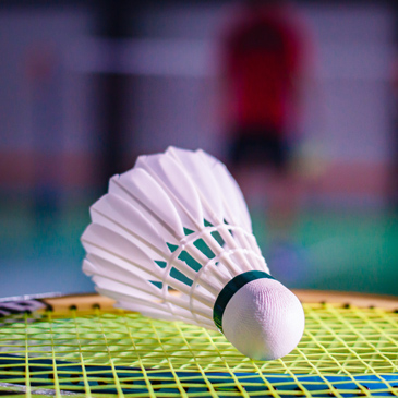 Crossminton