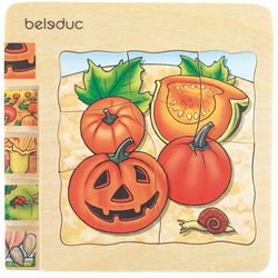 Vývoj. puzzle - Dýně