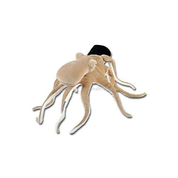 Chobotnice