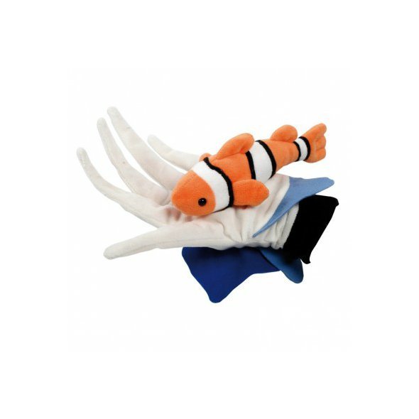 Klaun očkatý (Nemo)