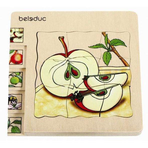 Vývoj. puzzle - Jablko