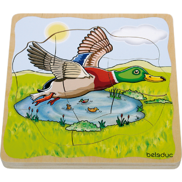 Vývoj. puzzle - Kachna