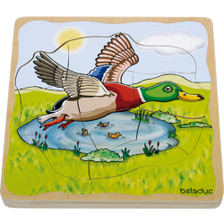 Vývoj. puzzle - Kachna