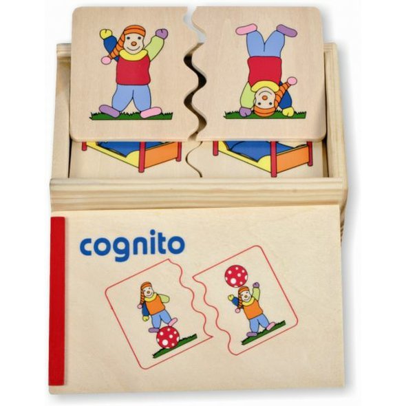 Cognito 'Pozice'